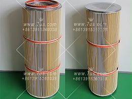 PPS filter cartridge