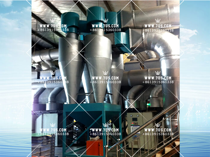 Cyclone dust collector