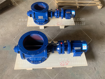 Star Rotary Valve